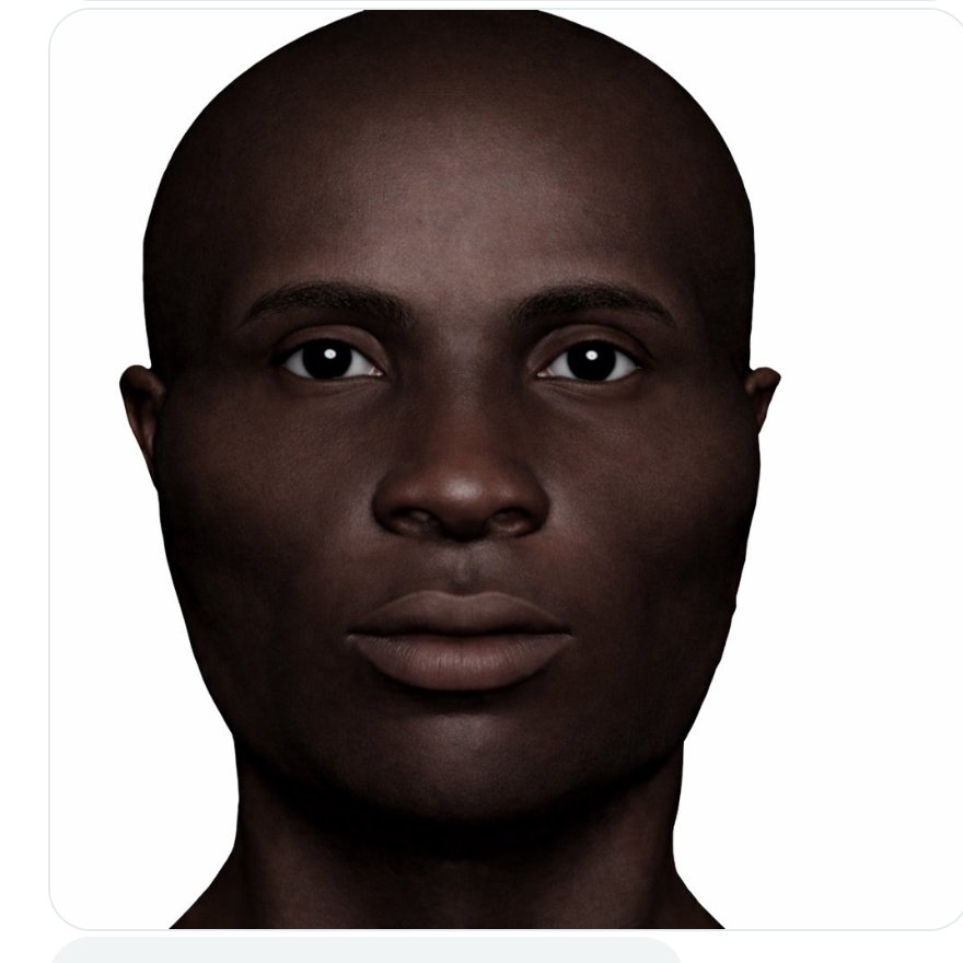 PH78-Afram Hominin tweet media