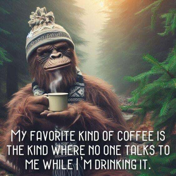 Mark ☕✨ tweet media