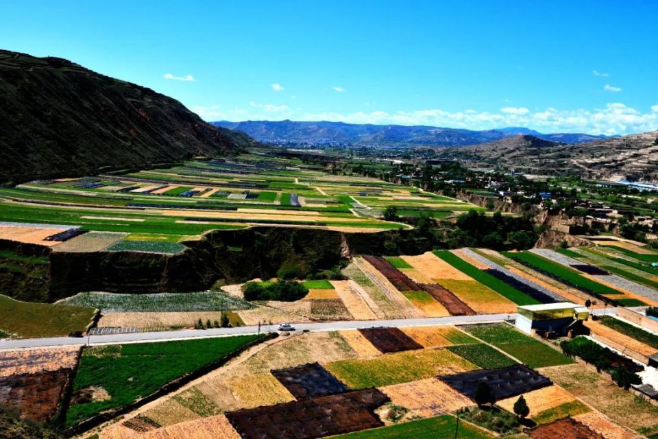 Christina Sachs tweet media