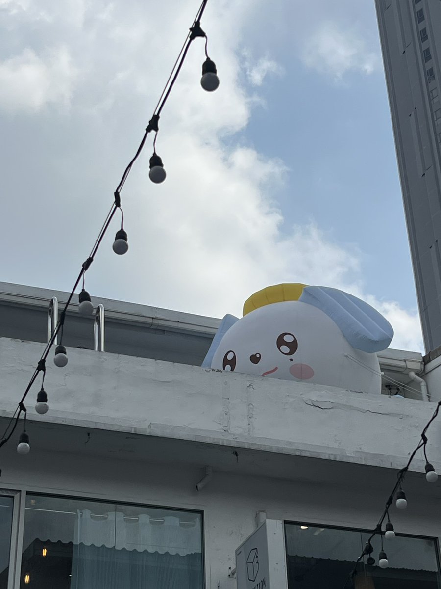 TEAM AAA tweet media