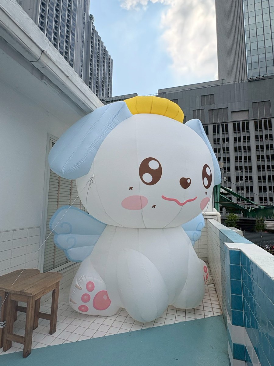 TEAM AAA tweet media