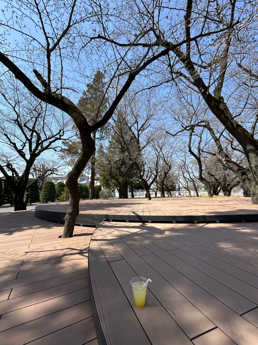 Calacola12's tweet photo. 木下MAOクラブ第１回発表会にやってきました！
お庭の桜も少しずつ顔を出し
選手達を応援しているみたい

がんばれ！未来に輝く花達よ〜 https://t.co/iVnK692A9z