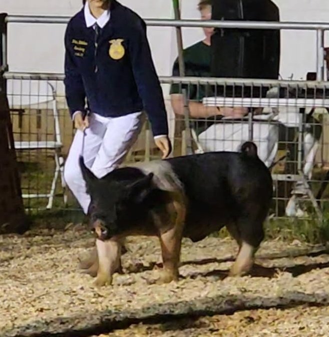 Salem 𓆩♡𓆪 tweet media