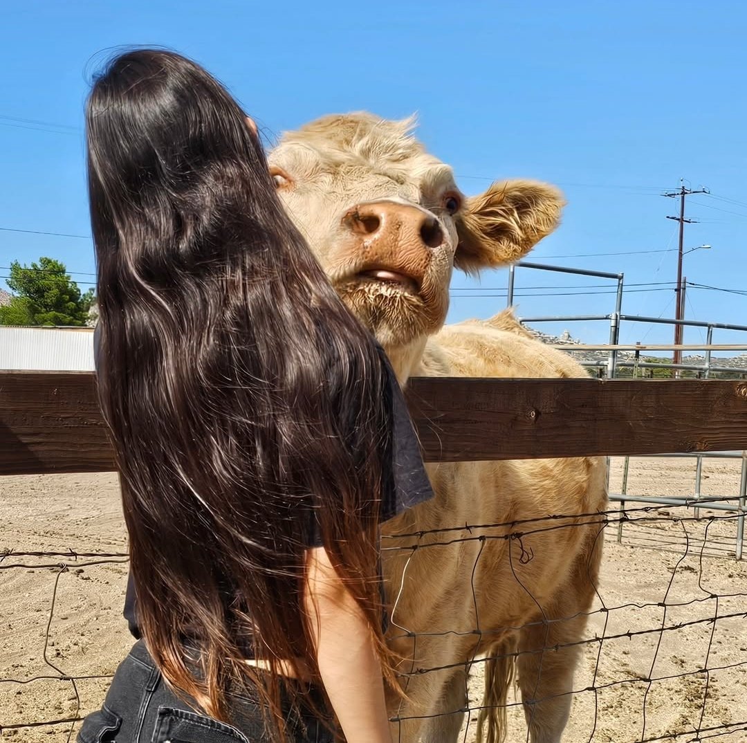 Salem 𓆩♡𓆪 tweet media