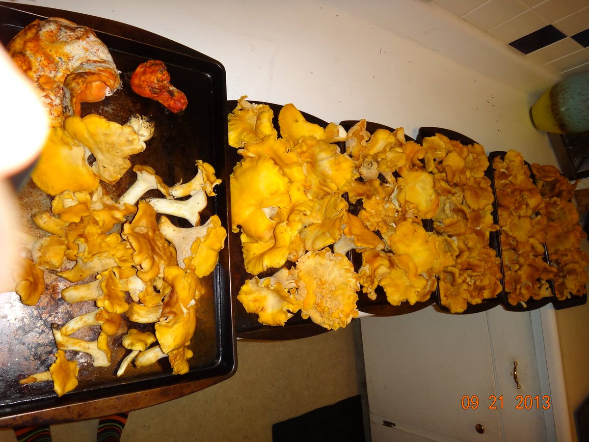 egg 🇵🇸 tweet media