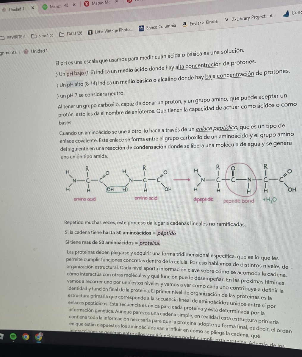 cass 🌸🏹 tweet media