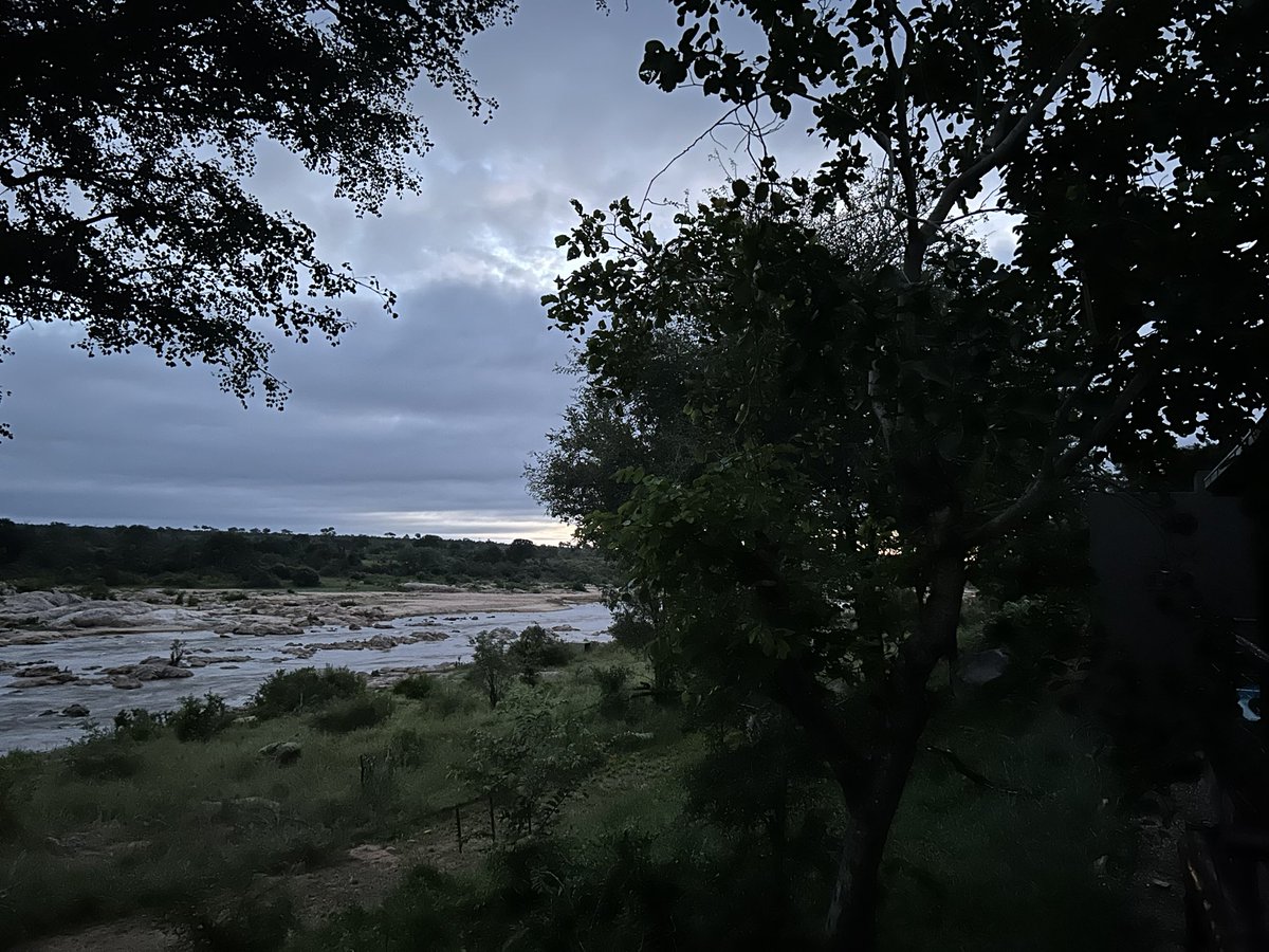 CJ (Esq.) tweet media