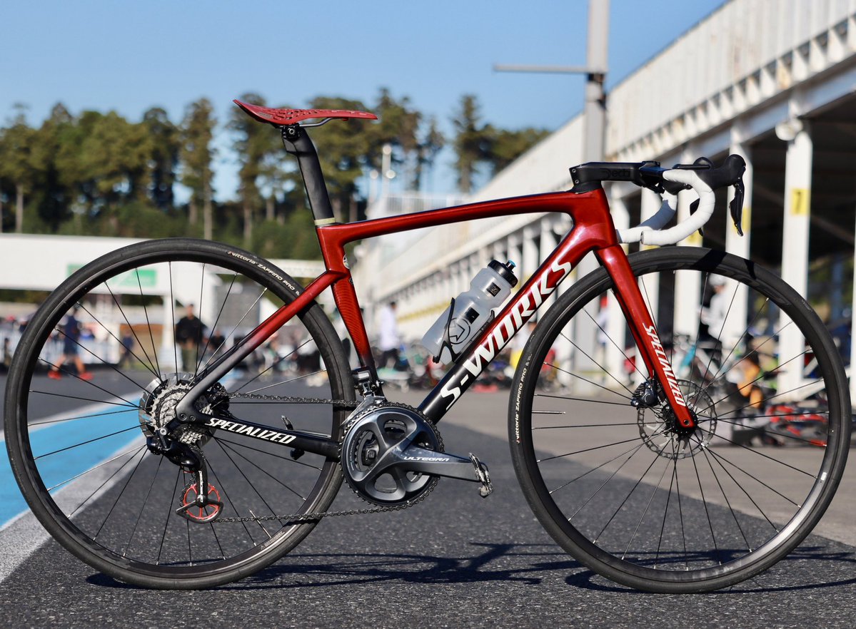 わたぬき tweet media