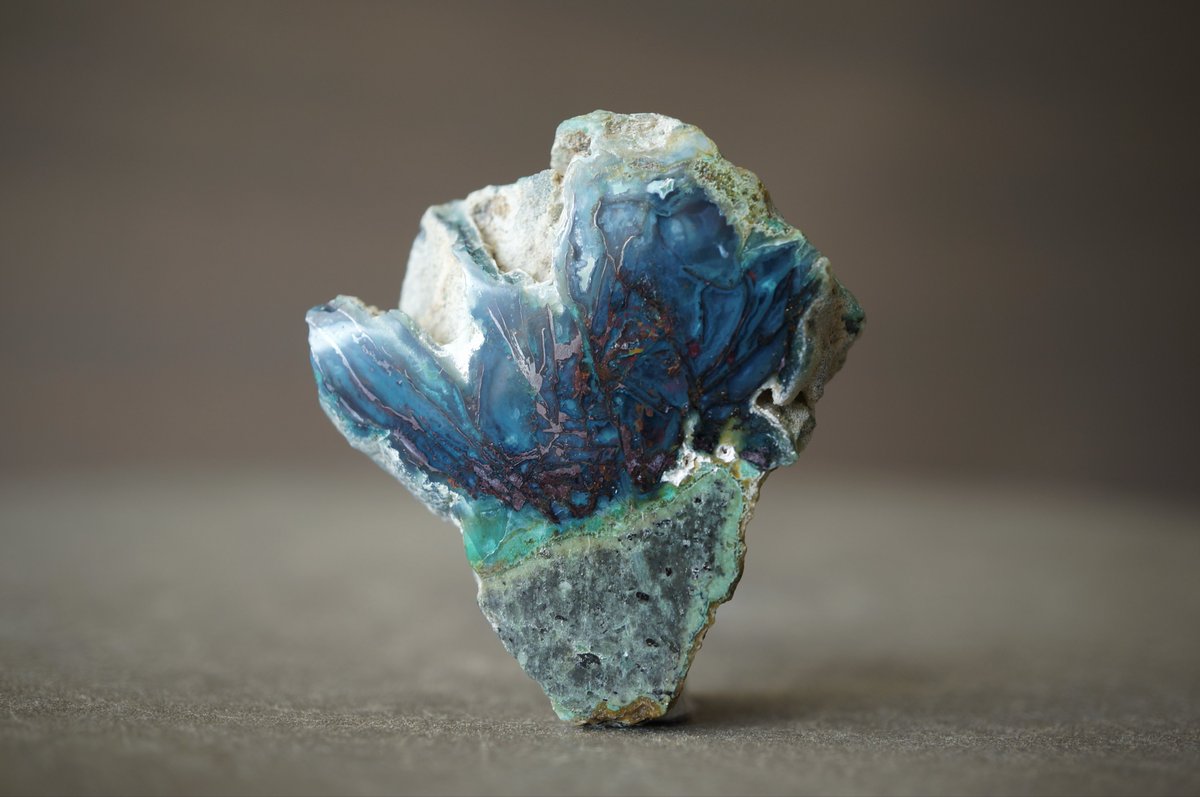 叙景 jokei 鉱物 / 風景石 / 化石 /水石 tweet media