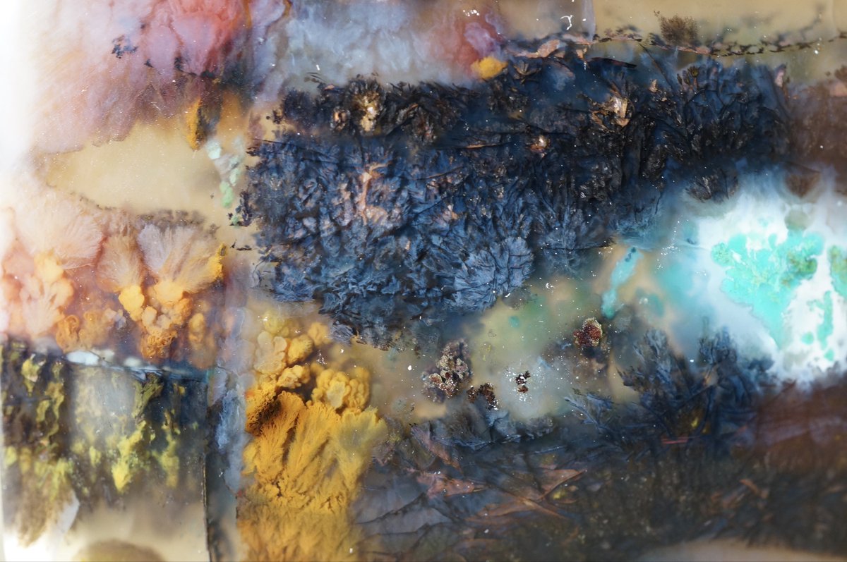 叙景 jokei 鉱物 / 風景石 / 化石 /水石 tweet media