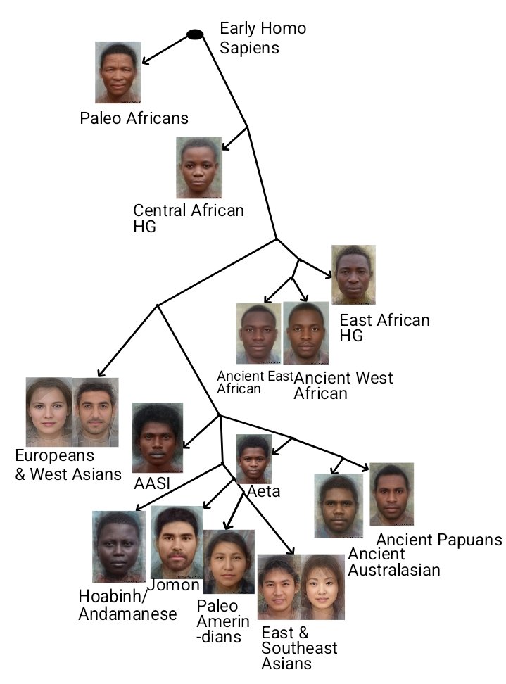 FareesHafy tweet media