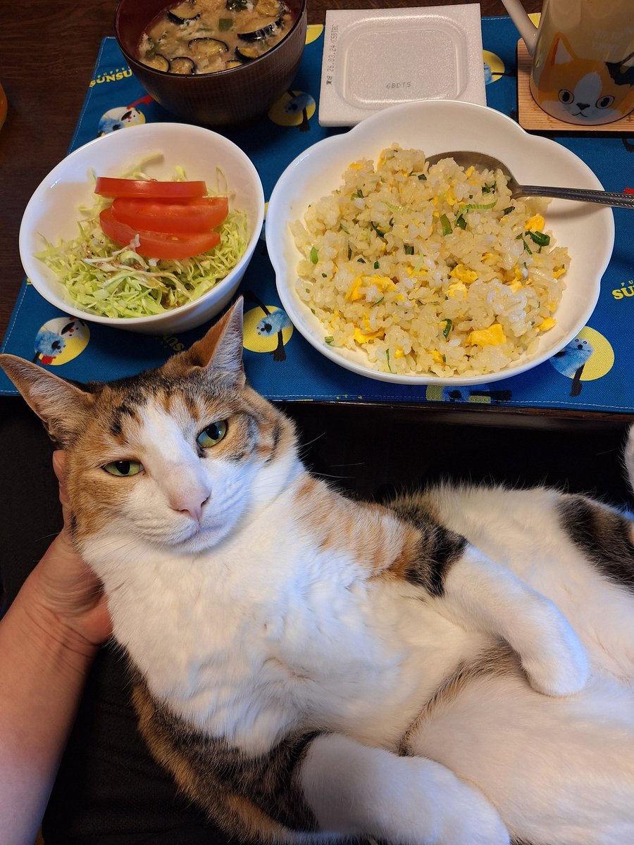 にこちゃまちゃんぬる tweet media