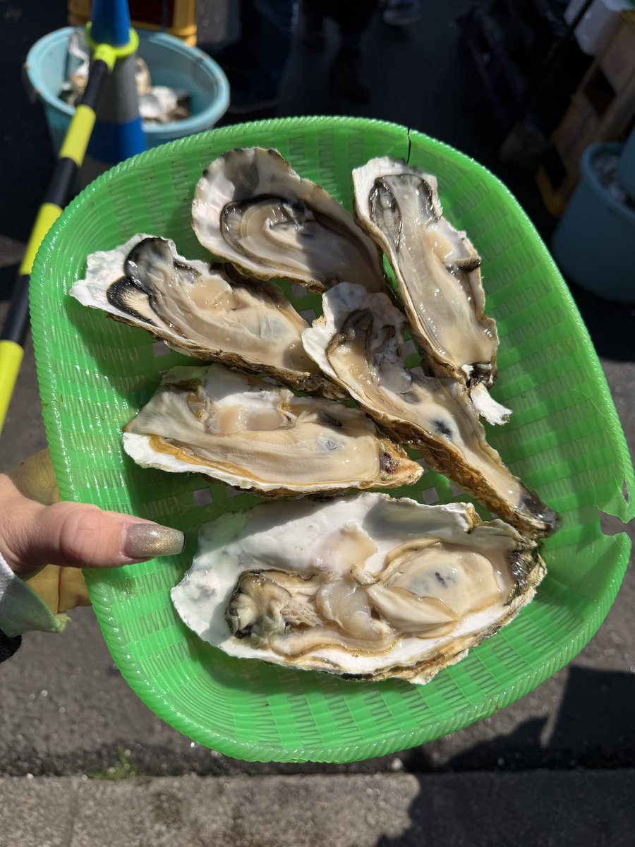 ᴋᴀɴᴀ 𝟷𝟹 👼 tweet media