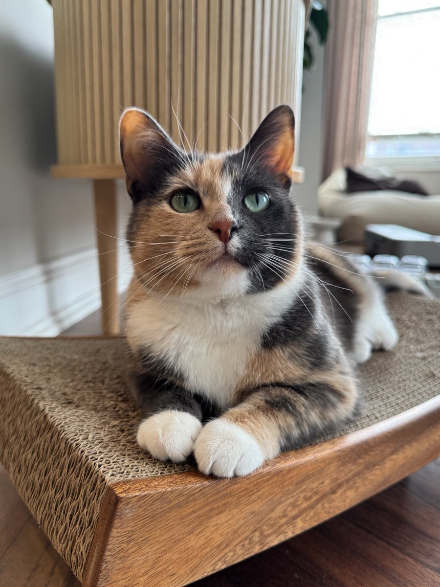 Purely Green tweet media