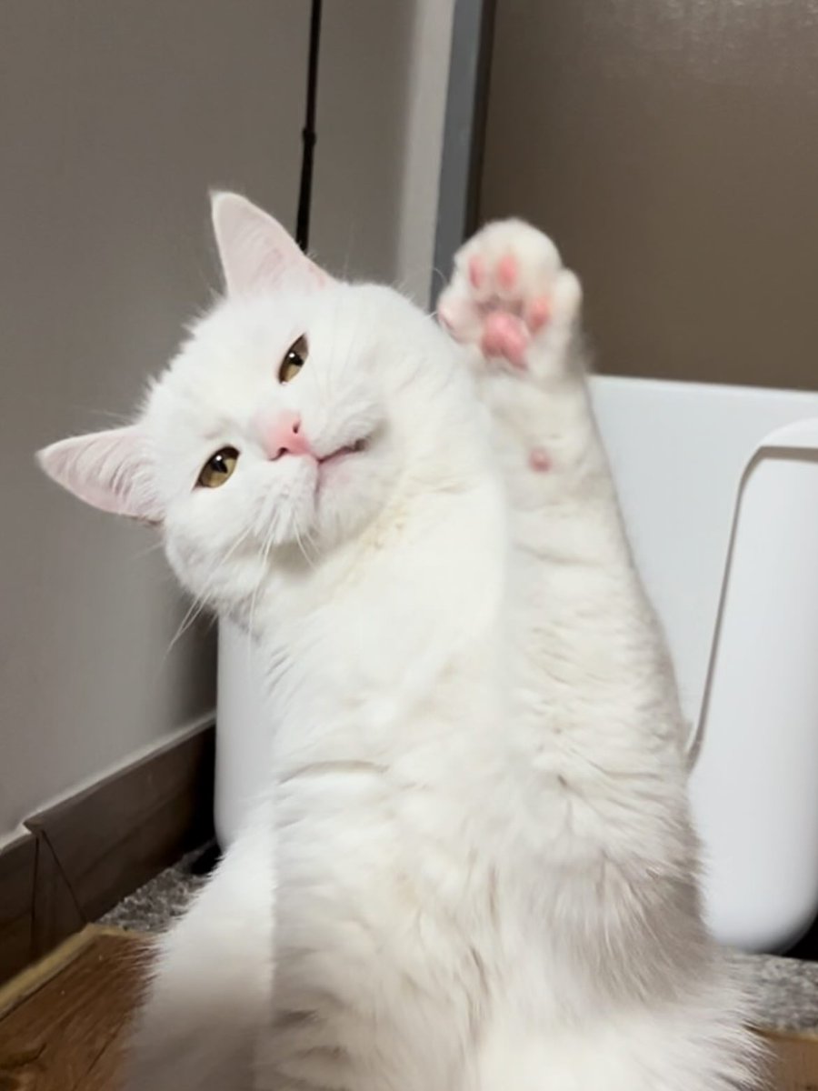 Purely Green tweet media