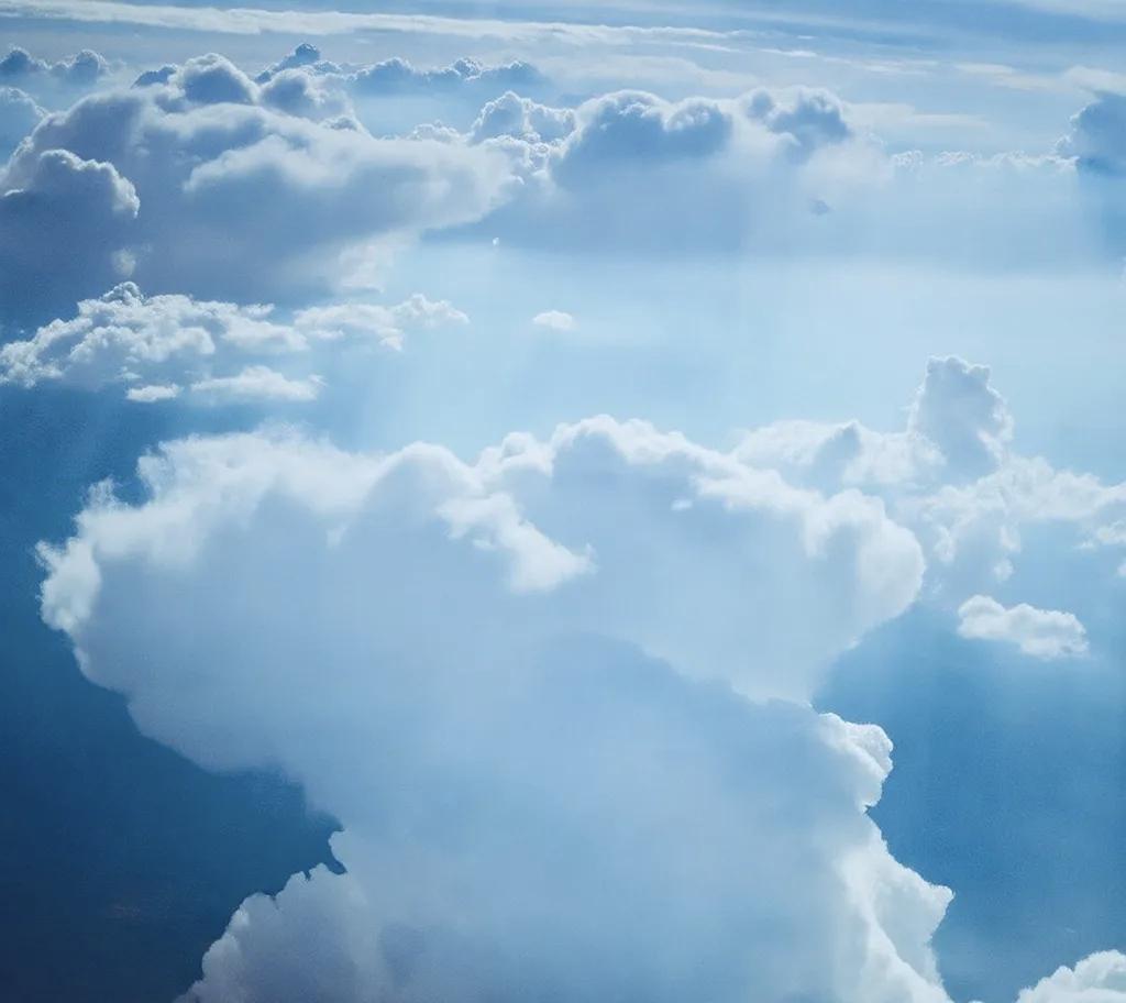 amrita rathi tweet media