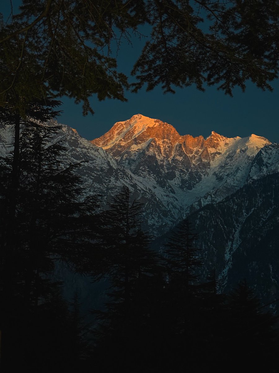 Purely Green tweet media