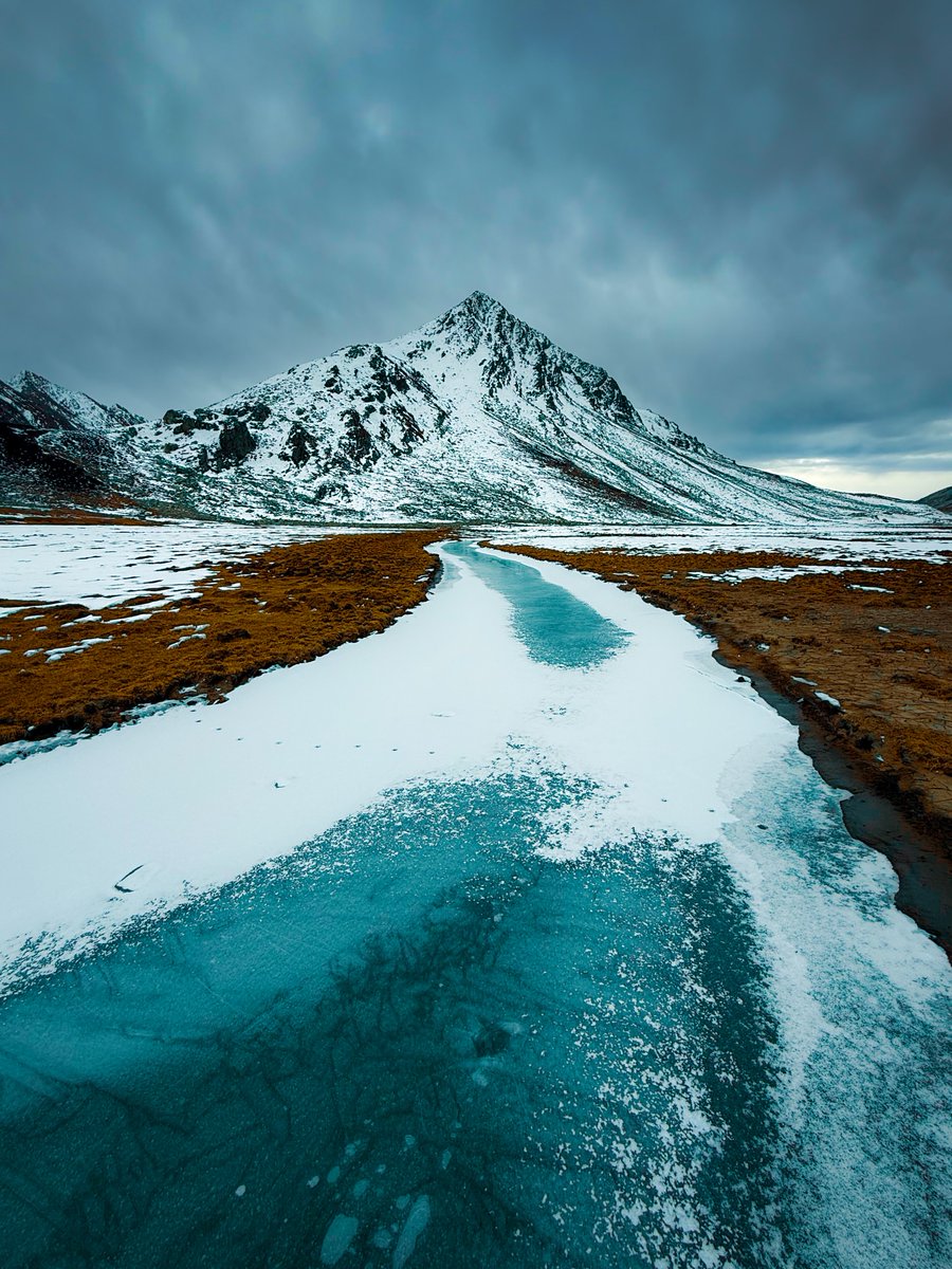 Purely Green tweet media