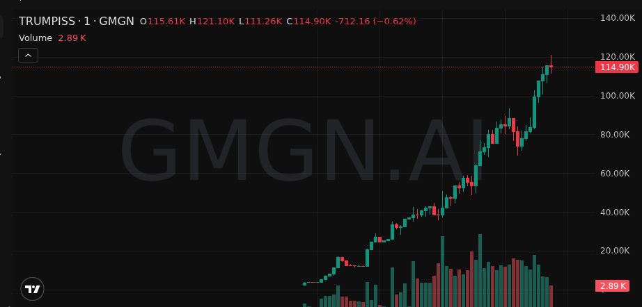 Avery Knox tweet media