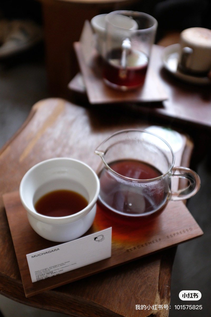 Giancarlo Segale Z tweet media