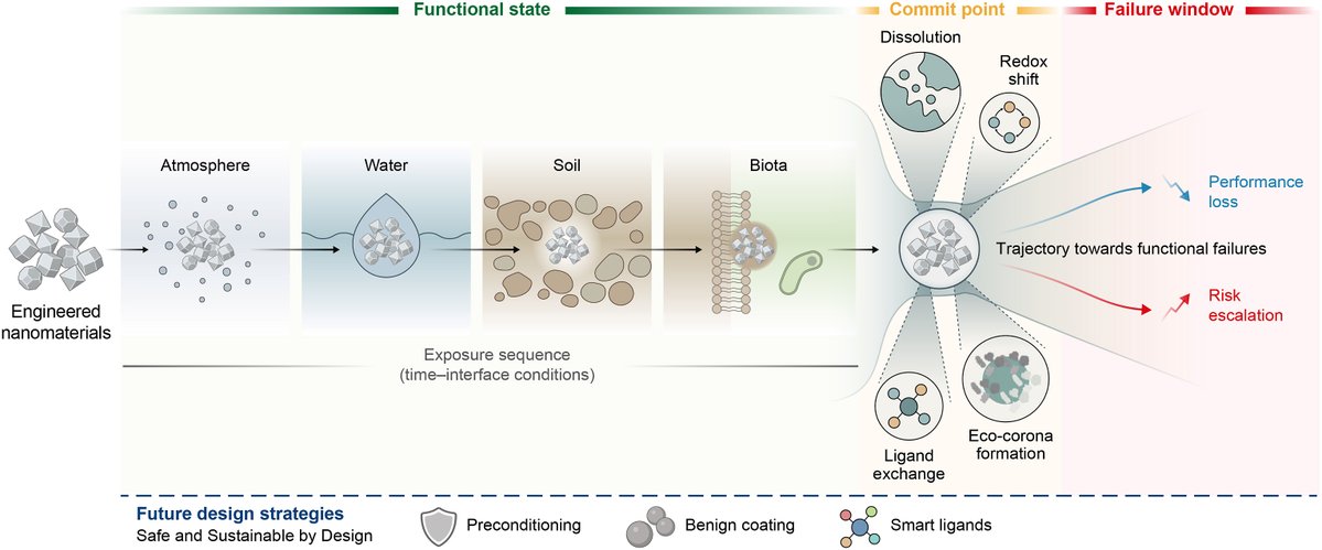 ESEjournal's tweet image. Engineered #nanomaterials exhibit functional failure within sequence-dependent failure windows at commit points of interfacial chemistry (dissolution, ligand exchange, eco-corona formation), enabling predictive #Nanosafety and trajectory-aware #SSbD, pointed by Dr. Swaroop