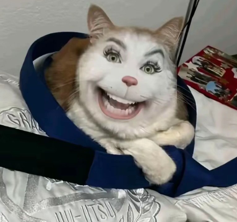 EdwinVenoct tweet media