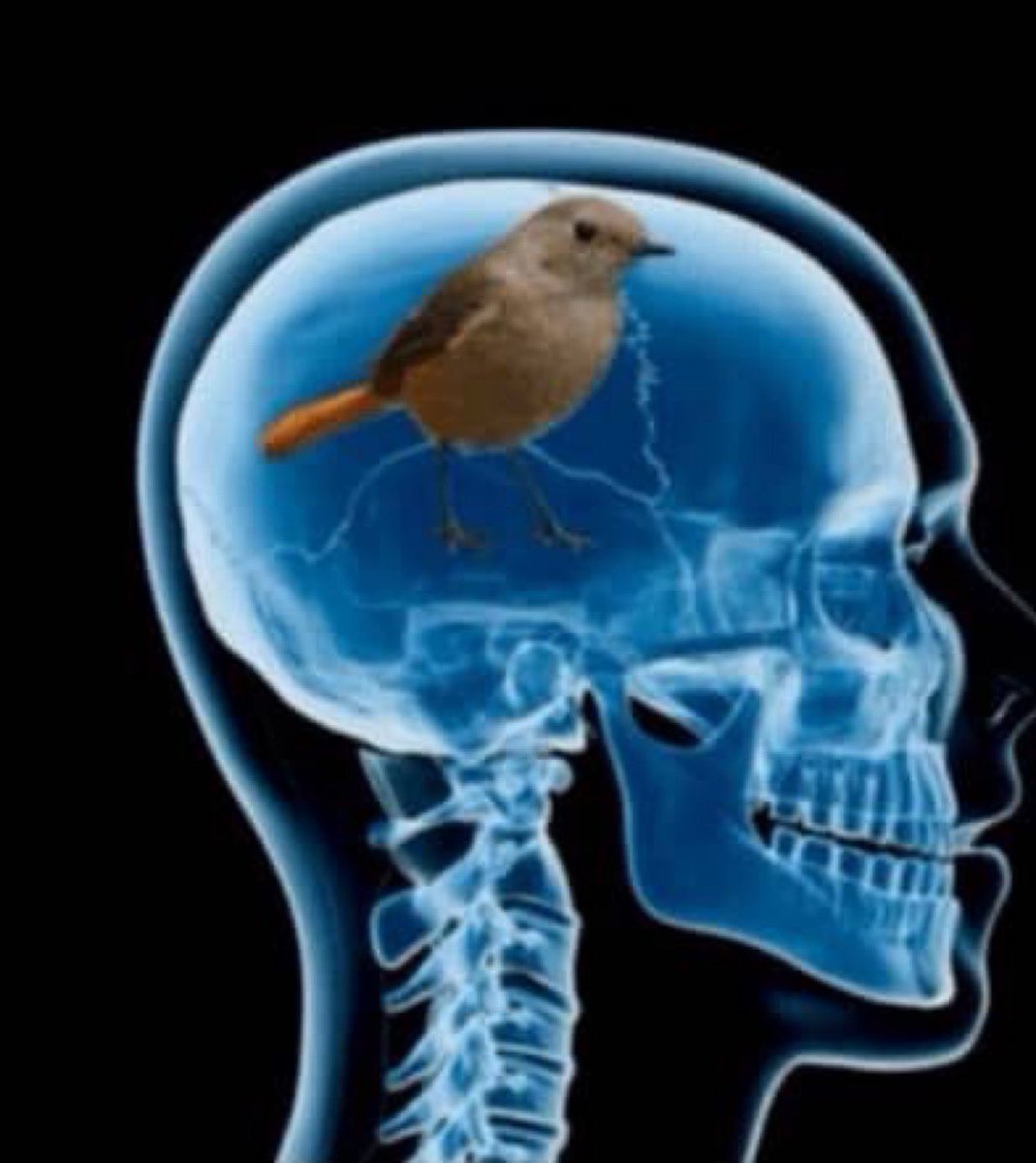 𝐉𝐚𝐲. 🫀🫶🏾 tweet media