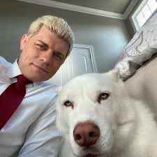 Jeremy Wilson tweet media