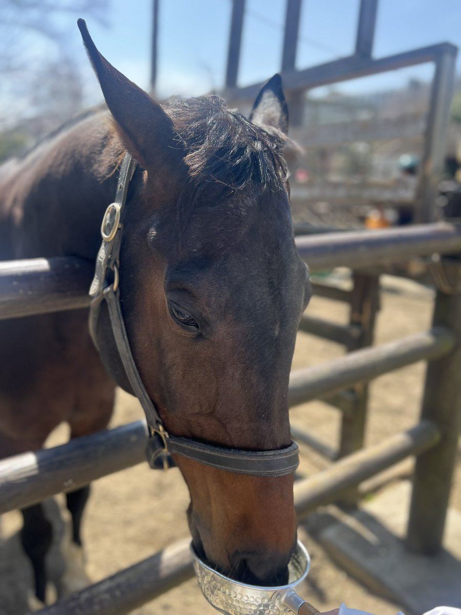 ベイパークママ tweet media