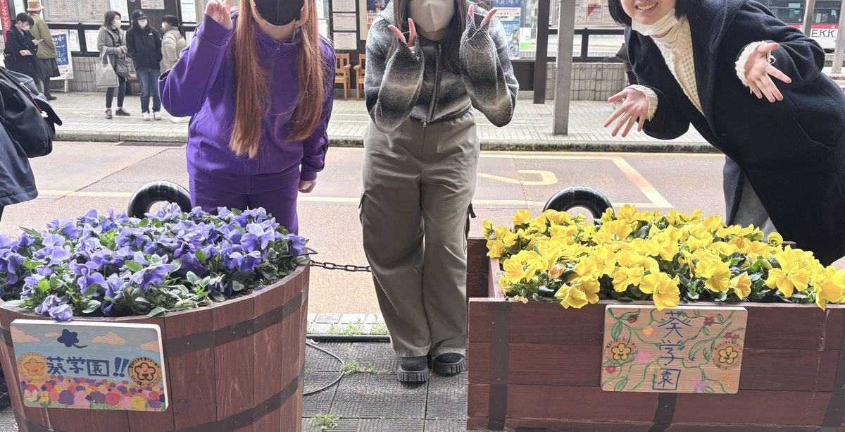 aoi_school's tweet photo. プランター活動のご報告
季節の移り変わりを感じながら、植物の成長を見守ってきた時間も、ひと区切りとなりました🌸
地域でのボランティア活動を通して、生徒たちの表情にもやさしさや達成感が広がっていきました。この経験が、これからの学びにつながっていくと嬉しいです😄 https://t.co/NZyW8iBu6U
