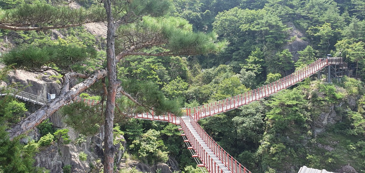 Mr.Rosemary tweet media