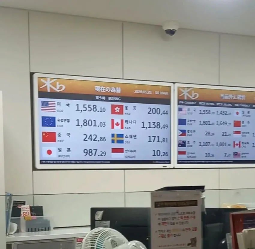 wadda |🌈| Premium+ tweet media