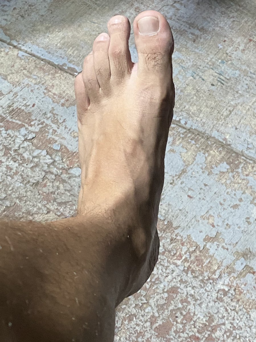 Cranidos tweet media