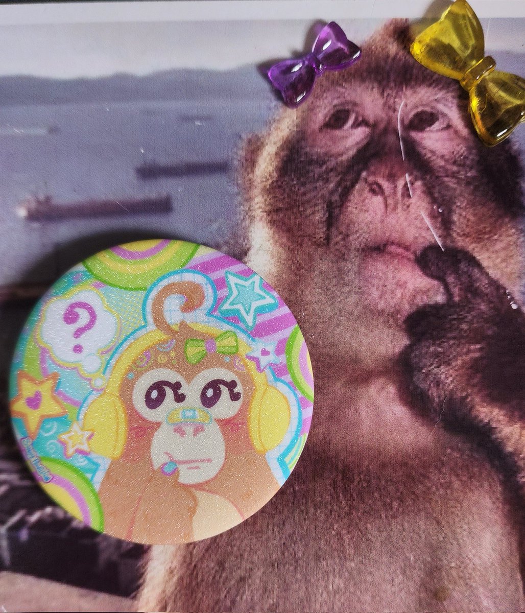 sunny! CF22 prep tweet media