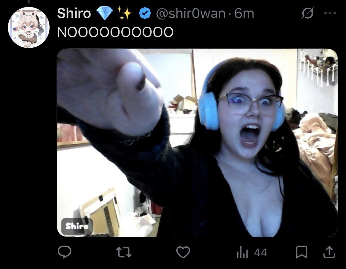 CodyCatVT 😹🔫 | LuckyEN🍀| tweet media