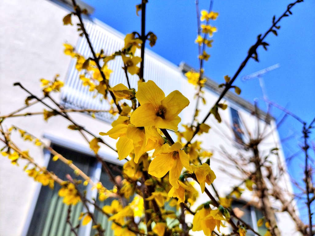 かっちゃん tweet media