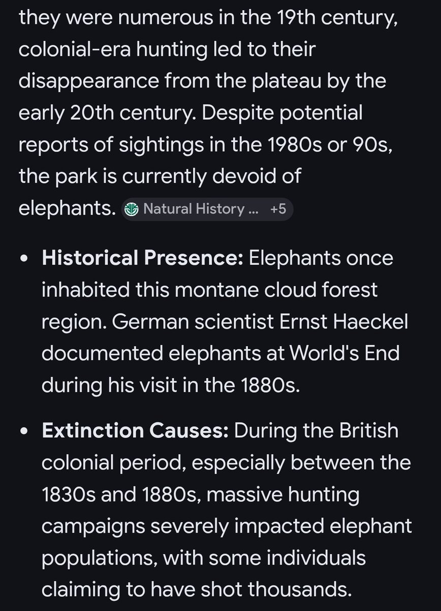 Ceylon Catalyst 🇱🇰 tweet media