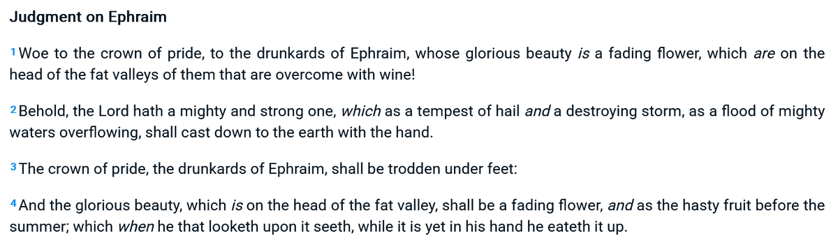 leaperJD tweet media