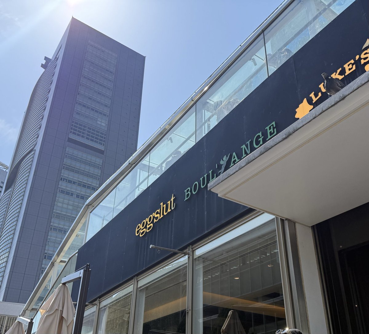 あるまじろ tweet media