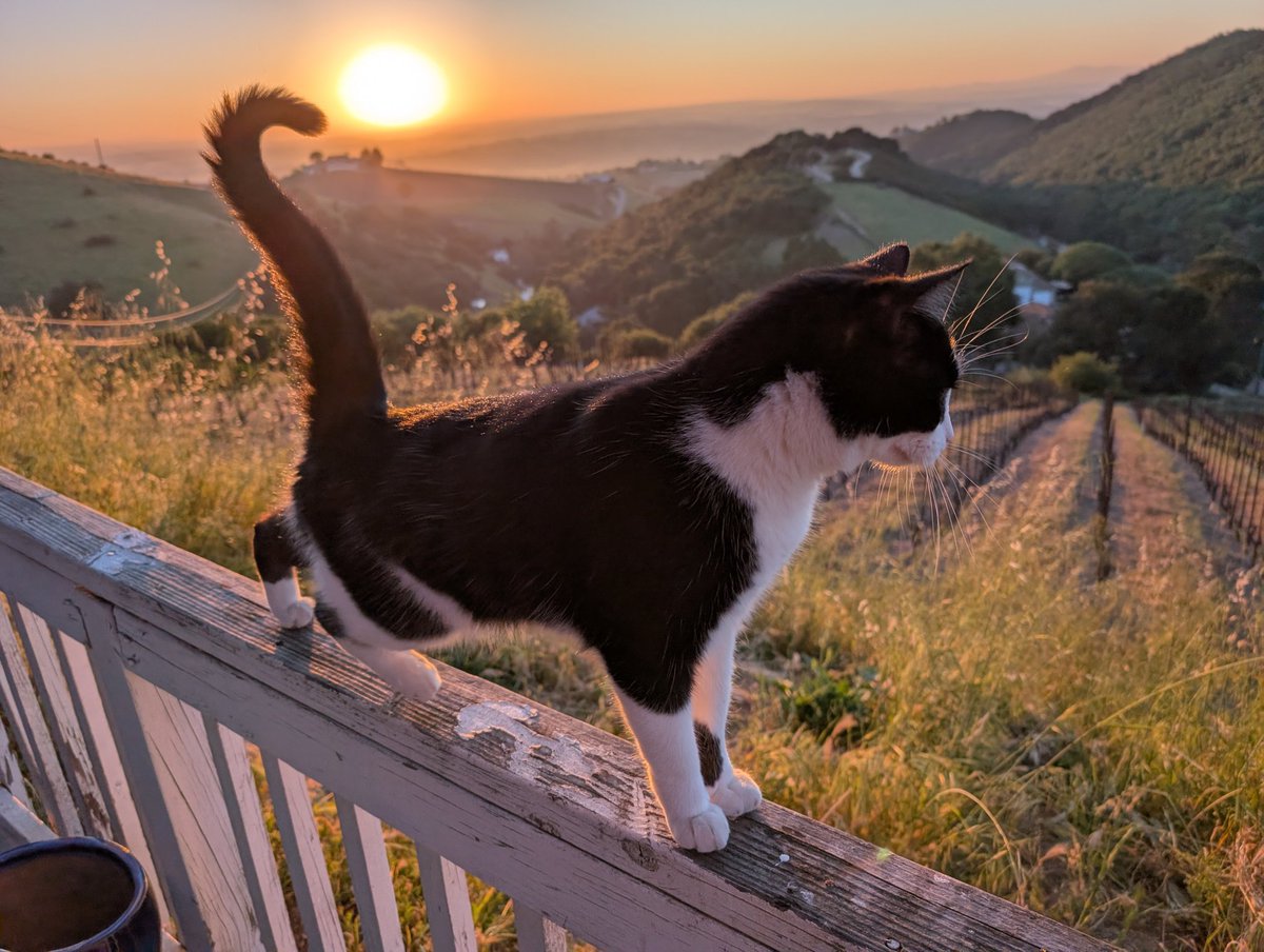 Jennifer tweet media