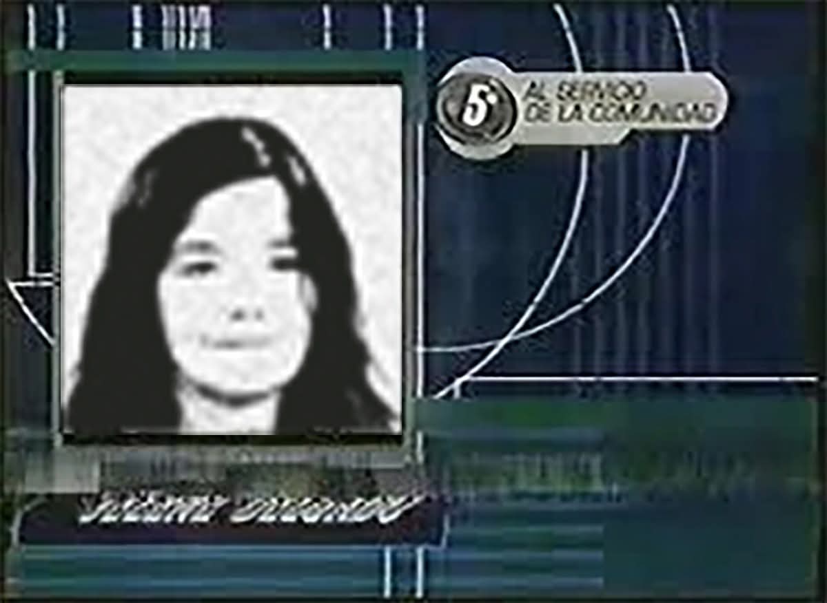 beejork's vault of dank memes tweet media