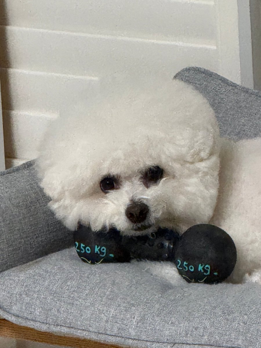 auenness tweet media