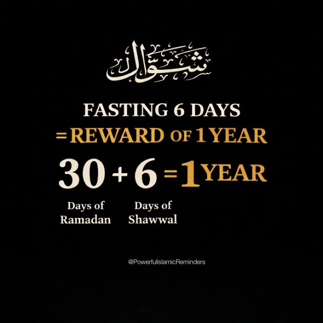 RealhumbleMan's tweet photo. Good habits to maintain after Ramadan include:
• Continuing with night prayers
• Fasting six days in Shawwal
• Fasting on Mondays and Thursdays
• Reciting the Quran regularly
• Continuing acts of charity
May Allah accept our efforts and grant us steadfastness. A'min https://t.co/2dQ5NSeNEy