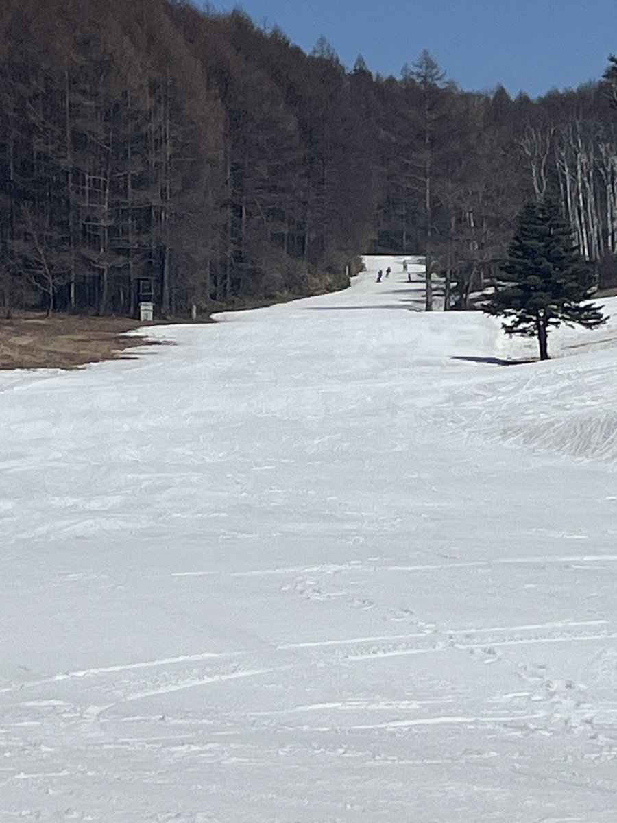 NinjaSnowLand's tweet photo. 今シーズン❄️クローズ予定日のご案内です。
メインコースや初心者コースはまだ豊富な積雪があり、4月5日まで営業予定となりました‼️今後の天候次第では早まる場合がありますが、ゲレンデ❄️整備チームは全力で4月5日のまで作り上げますので、皆様多くのご来場お待ちしております🙇‍♀️ https://t.co/qR6AADOPNy