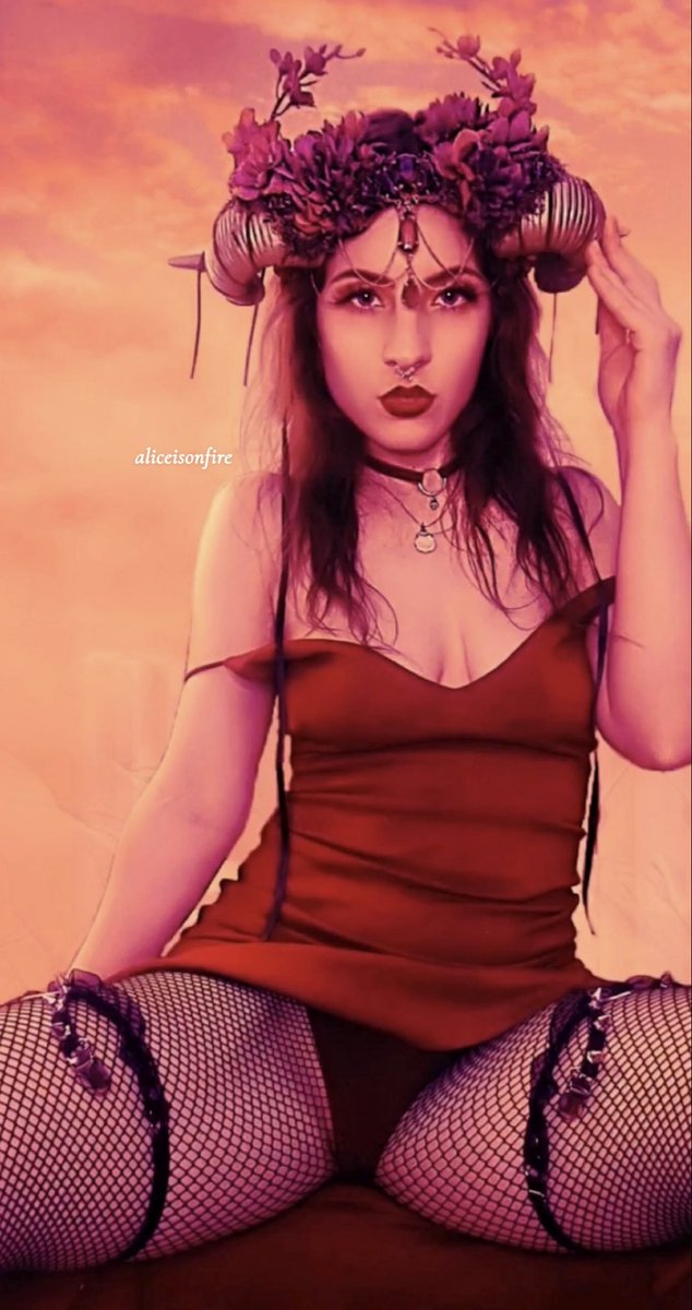 march is 𝖆𝖑𝖎𝖈𝖊fest 𓍊𓋼 ☾⋆₊⁺⋆ 🇵🇸 tweet media