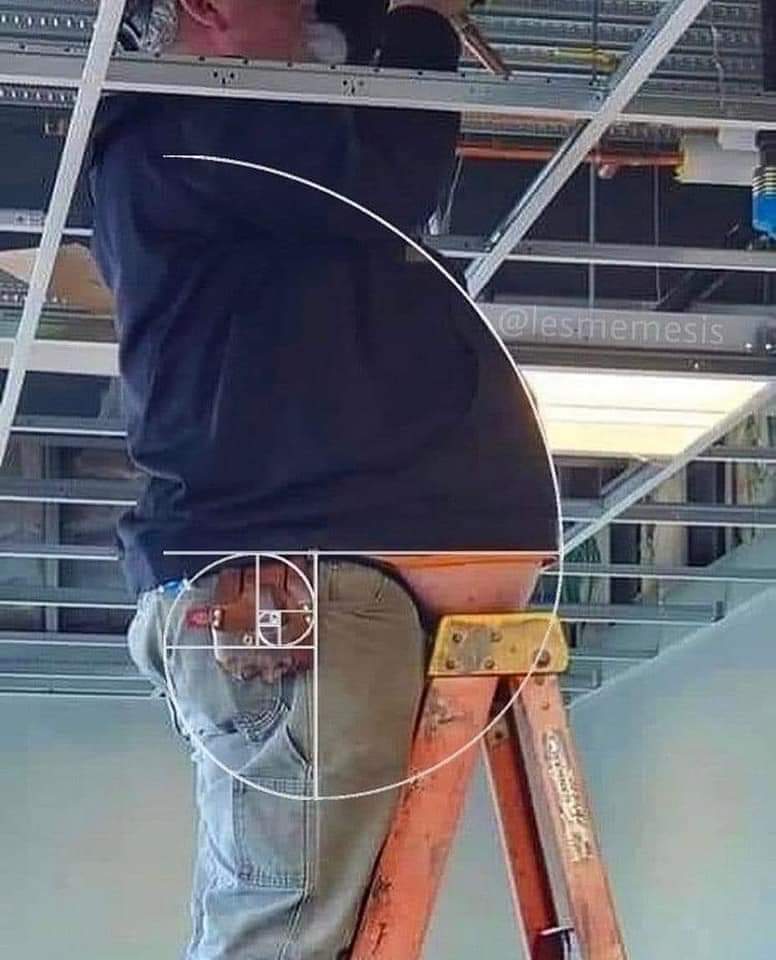 NO CONTEXT HUMANS tweet media