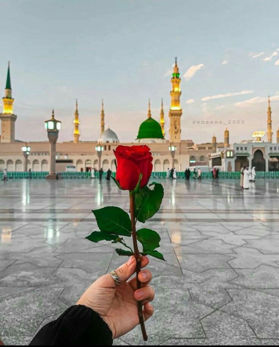 Neamat Rashid tweet media