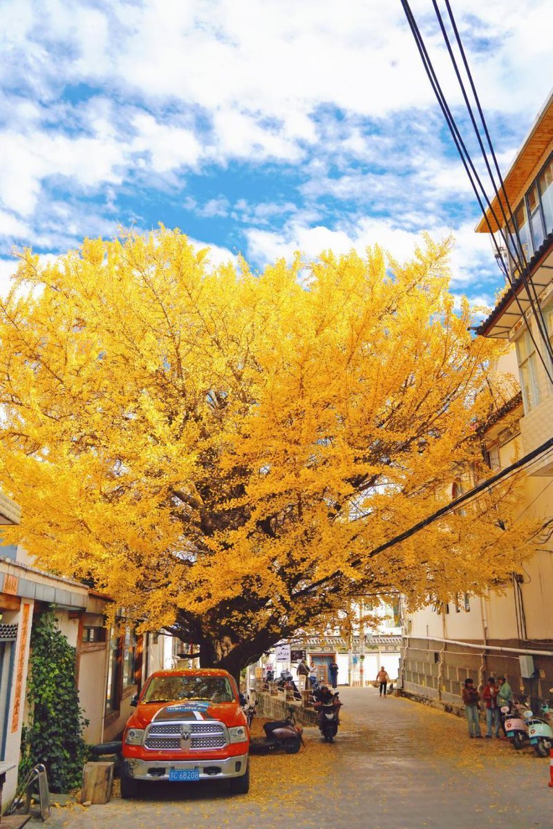 John Thompson tweet media