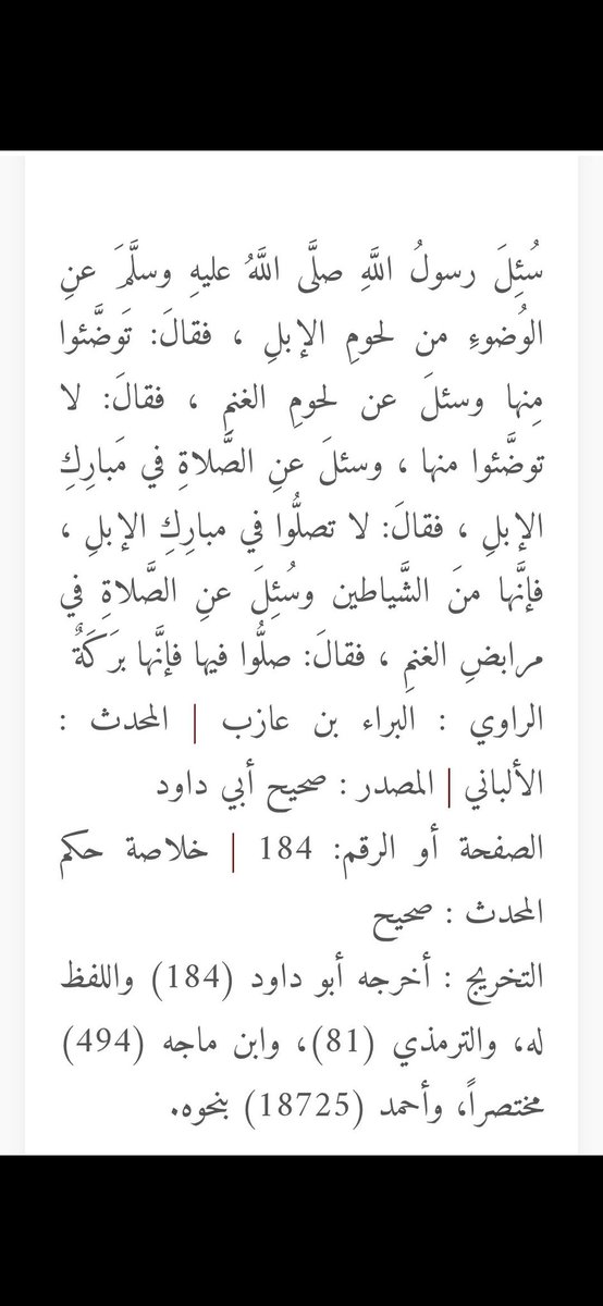 عــــبــــدالــــلـــــه tweet media