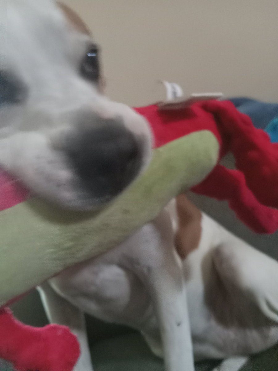 𝙏𝙖𝙠𝙞 ! tweet media